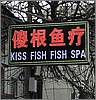 Kiss Fish Spa Muslim Quarter Xi'An